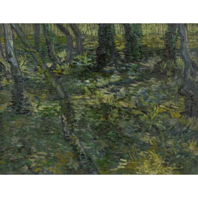 Подлесок с ивами (Undergrowth with Ivy), 1889