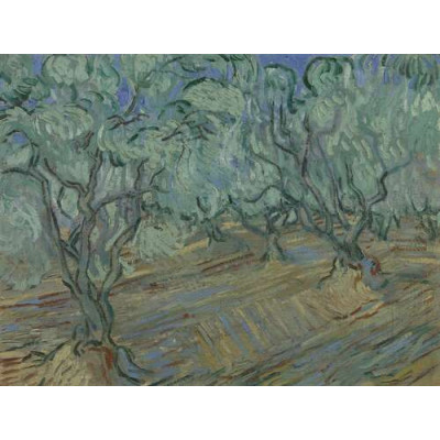 Оливковая роща и голубое небо (Olive Grove with Blue Sky), 1889