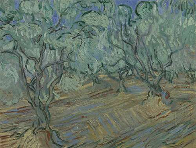 Оливковая роща и голубое небо (Olive Grove with Blue Sky), 1889