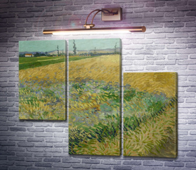 Пшеничное поле и предгорье Старых Альп на заднем плане (Wheat Field with the Alpilles Foothills in the Background), 1888