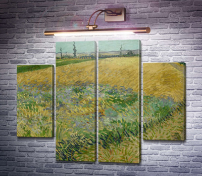 Пшеничное поле и предгорье Старых Альп на заднем плане (Wheat Field with the Alpilles Foothills in the Background), 1888