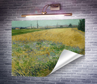 Пшеничное поле и предгорье Старых Альп на заднем плане (Wheat Field with the Alpilles Foothills in the Background), 1888