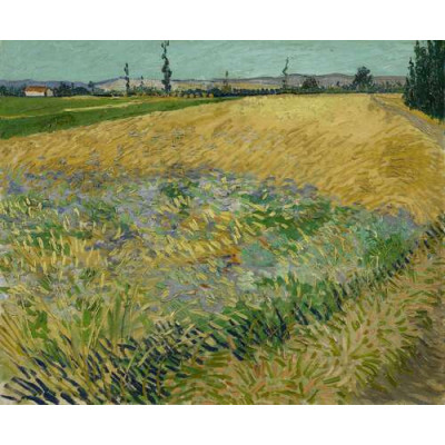 Пшеничное поле и предгорье Старых Альп на заднем плане (Wheat Field with the Alpilles Foothills in the Background), 1888