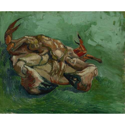 Краб на спине (Crab on It`s Back), 1889