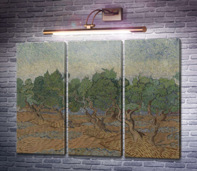 Оливковая роща (Olive Grove), 1889 03