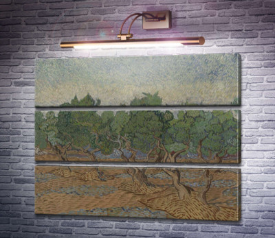 Оливковая роща (Olive Grove), 1889 03