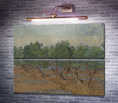 Оливковая роща (Olive Grove), 1889 03