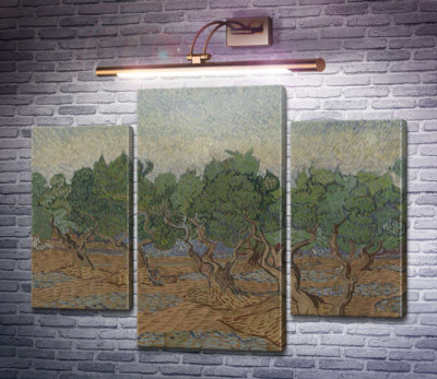 Оливковая роща (Olive Grove), 1889 03