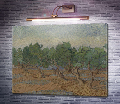 Оливковая роща (Olive Grove), 1889 03