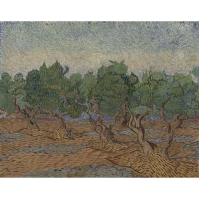 Оливковая роща (Olive Grove), 1889 03