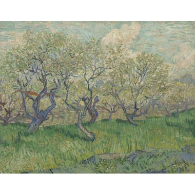 Фруктовый сад в цвету (Orchard in Blossom), 1888