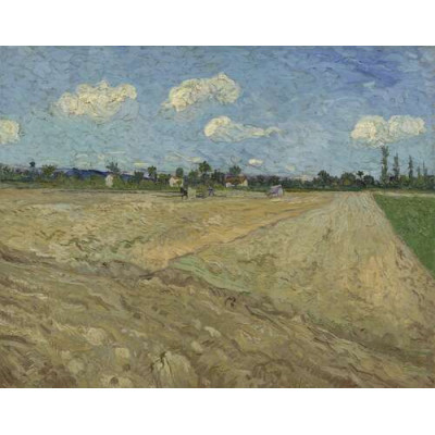 Вспаханное поле (The Ploughed Field), 1888