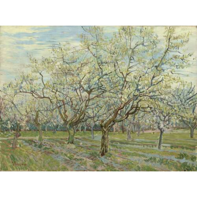 Фруктовый сад с цветущими сливами (Orchard with Blossoming Plum Trees), 1888