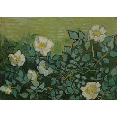 Дикие розы, 1890