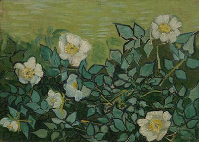 Дикие розы, 1890