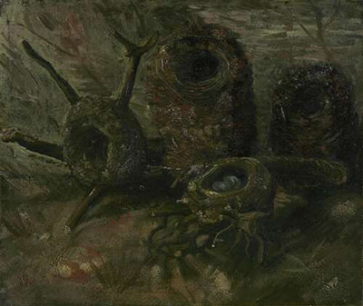 Птицы