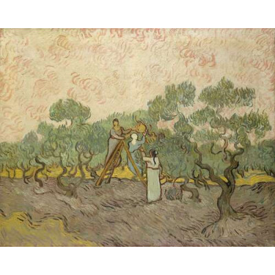 Сбор оливок, 1889