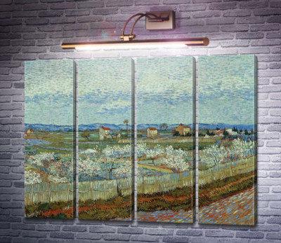 Персиковые деревья в цвету