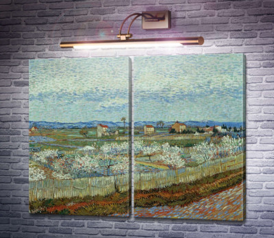 Персиковые деревья в цвету