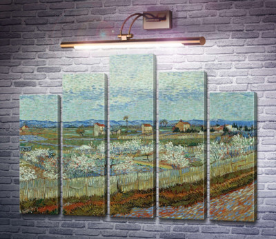 Персиковые деревья в цвету