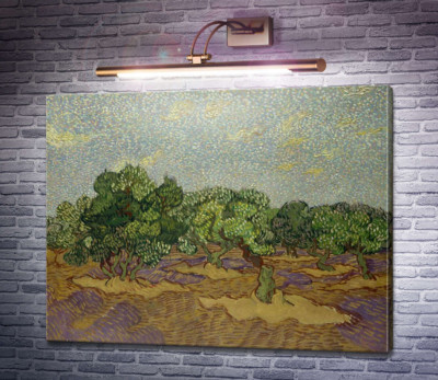 Оливкова гай і блідо-блакитне небо (Olive Grove - Pale Blue Sky), 1889