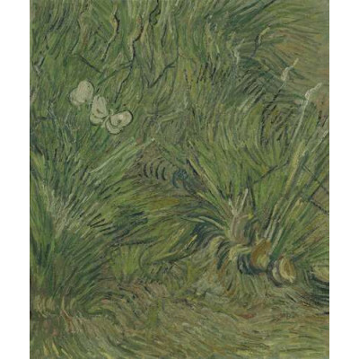 Две белые бабочки (Two White Butterflies), 1889