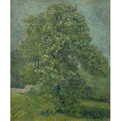 Квітучий каштан (Chestnut Tree in Blossom), 1887