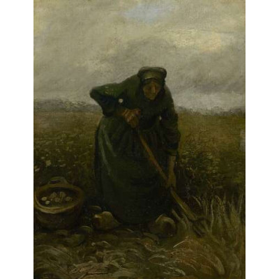 Женщина, выкапывающая картофель