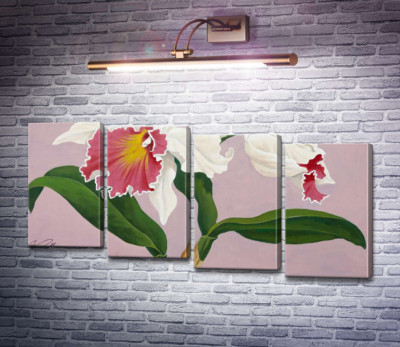 Каттлея