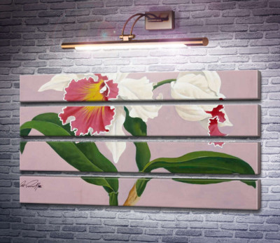 Каттлея