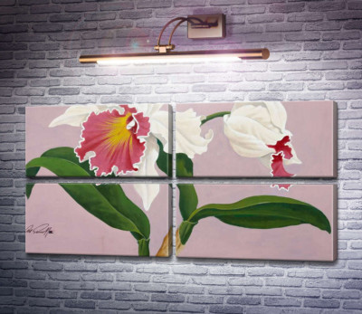 Каттлея
