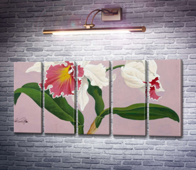 Каттлея
