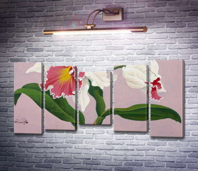 Каттлея