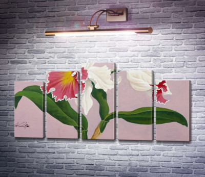 Каттлея