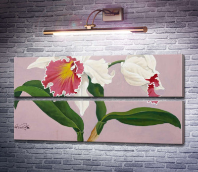 Каттлея