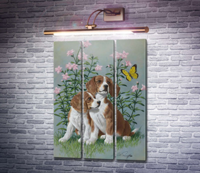 Щенки