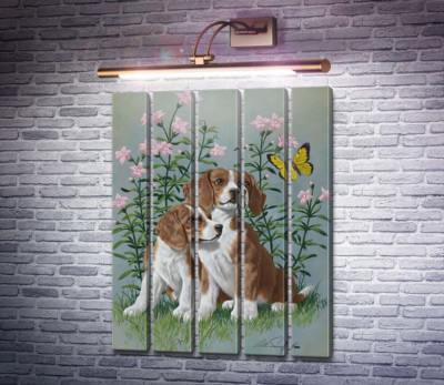 Щенки