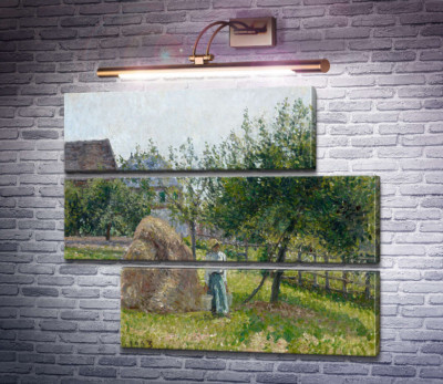 Яблуні в Ераньї, ранкове сонце