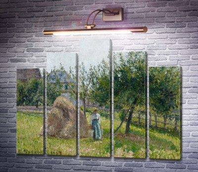 Яблуні в Ераньї, ранкове сонце
