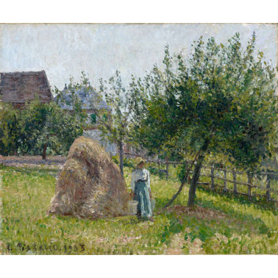 Яблуні в Ераньї, ранкове сонце