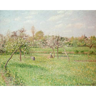 Яблони в Граньи