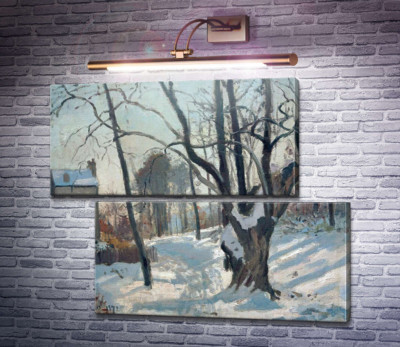 Зимний пейзаж в Лувесьене