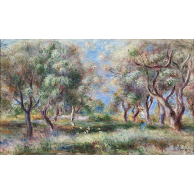 Оливковая роща близ Кани