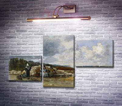 Ловщиці креветок, Плугастель
