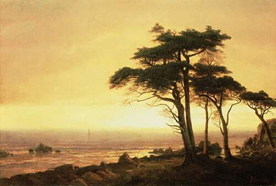 Калифорнийский берег