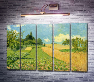 Кукурудзяне поле