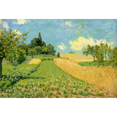 Кукурузное поле