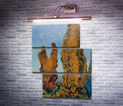 Кипариси