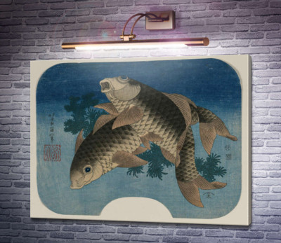 Плавання коропа водними водоростями