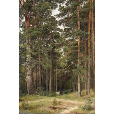 Летний день, Мерикюль